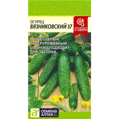 Огурец Вязниковский 37/Сем Алт/цп 0,5 гр.