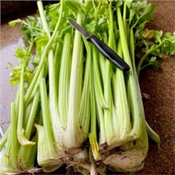 Гигант Паскаля Черешковый Сельдерей — Giant Pascal Celery (100 семян)