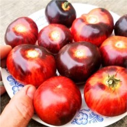 Помидоры Антоцианный Гном в Полоску — Antho Striped Dwarf Tomato (10 семян)