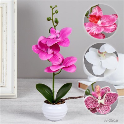 Цветочная композиция Орхидея 29 см / LM-794 /уп 144/