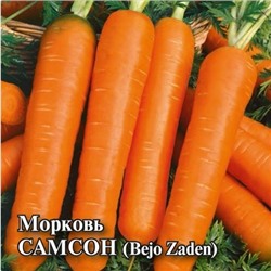 Морковь Самсон (10г)