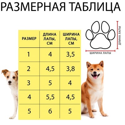 Ботинки "Модник", набор 4 шт, 5 размер (5,8 х 4,5 см), коричневые