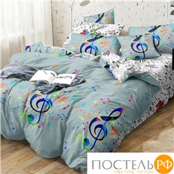 КПБ CL HOME Поплин "Pure Cotton" двуспальный 175*215*1 200*220*1(±5) 70*70*2(±2) в ПВХ 20/306-PC/CL