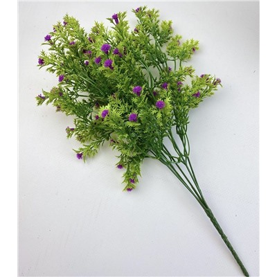 Гипсофила фиолетовая 35 см, декоративное растение