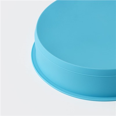 Форма силиконовая для выпечки Доляна «Круг», 24×5 см, диаметр дна 21,5 см, цвет МИКС