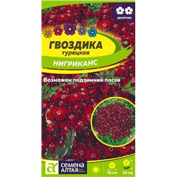 Гвоздика турецкая Нигриканс/Сем Алт/цп 0,1 гр. двулетник