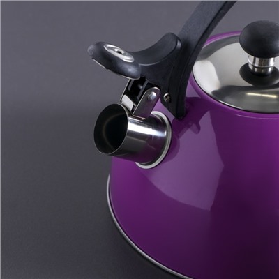 Чайник со свистком 1,8 л "Радуга", фиксированная ручка, цвет сиреневый