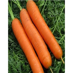 Морковь Вкусняшка  2 гр цв.п