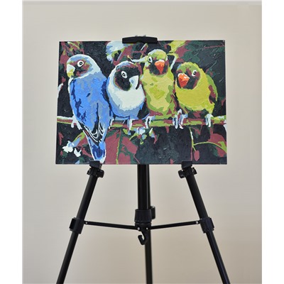 Картина по номерам на картоне Волнистые попугайчики 30х40