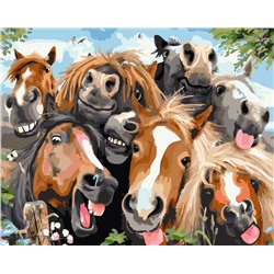 Картина по номерам на подрамнике Веселые лошадки 40х50