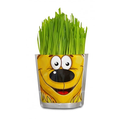 Happy Plant Сафари Львенок