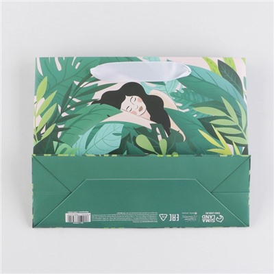 Пакет ламинированный «Момент» 22 × 17,5 × 8 см
