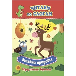 Слоговой тренажёр «Загадки природы», читаем по слогам, крупные буквы, 12 стр.