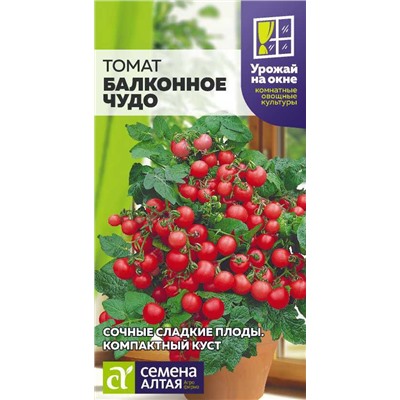 Томат Балконное Чудо/Сем Алт/цп 0,1 гр. УРОЖАЙ НА ОКНЕ!