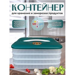 Контейнер для заморозки и хранения продуктов, 4 секции с ручкой