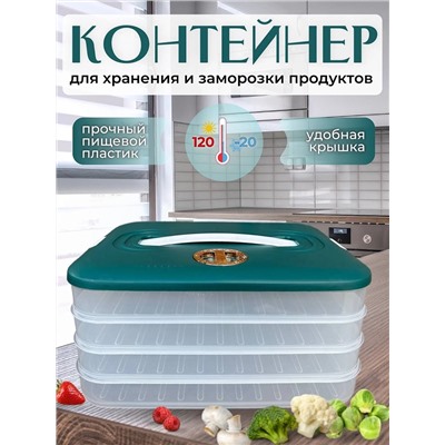 Контейнер для заморозки и хранения продуктов, 4 секции с ручкой