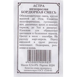 Астра Низкорослая (бордюрная) смесь