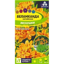 Беламканда Веснушки китайская/Сем Алт/цп 0,1 гр. многолетник
