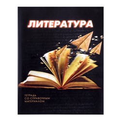 Тетрадь предметная 3D, 48 листов в линейку "Литература", обложка мелованный картон, блок № 2, белизна 75% (серые листы)