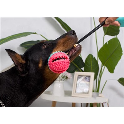 Игрушка на присоске Pet Molar для собак.