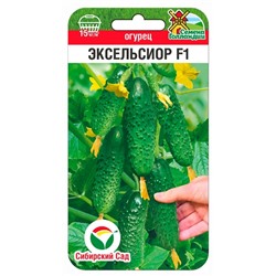 Огурец Эксельсиор F1