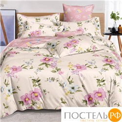 КПБ CL HOME Поплин "Pure Cotton" евро 200*220*1 220*240*1(±5) 50*70*2(±2) 70*70*2(±2) в ПВХ 31/201-PC/CL