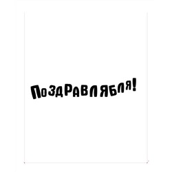 Пакет бумажный Прикол "Поздравлябля" 26x12x32 см (040)