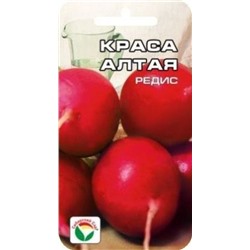 Редис Краса Алтая