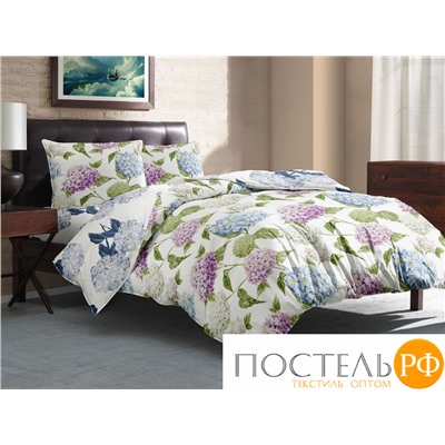 КПБ CL HOME Поплин "Pure Cotton" полуторный 145*215*1 150*220*1(±5) 70*70*2(±2) 15/278-PCE