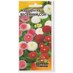 Маргаритка Весенный Сон