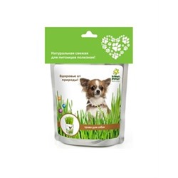 Happy Plant Трава для собак