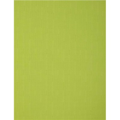 Рулонная штора ролло "Сантайм Лен", светло-зеленый  (df-200203-gr)