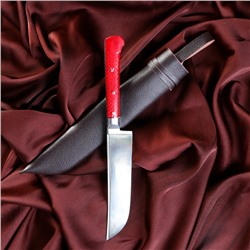 Нож Пчак Шархон - оргстекло, ёрма, гарда олово ШХ-15 (11-12 см)