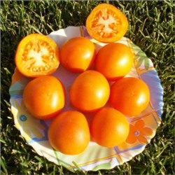 Помидоры Оранжевый Персик — Orange Peach Tomato (10 семян)