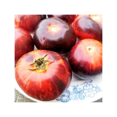 Помидоры Антоцианный Гном в Полоску — Antho Striped Dwarf Tomato (10 семян)