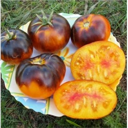 Помидоры Настоящая Драгоценность — Lucid Gem Tomato (10 семян)