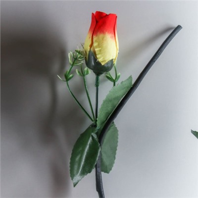 Сухоцвет набор 5 штук 130 см Роза красно желтая / 18-40 /уп 100/А