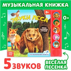 Музыкальная книга «Звуки леса», 5 звуков, 10 стр.