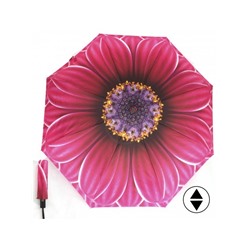 Зонт женский ТриСлона-880/L 3880,  R=55см,  суперавт;  8спиц,  3слож,  розовый/фиолет  (Мегацветок)  240342