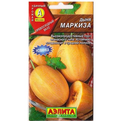 Дыня Маркиза