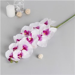 Цветы искусственные "Орхидея Галатея" 95 см, бело-фиолетовый