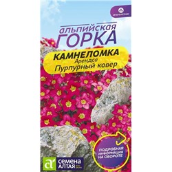 Камнеломка Пурпурный ковер Арендса/Сем Алт/цп 0,01 гр. многолетник Альпийская горка