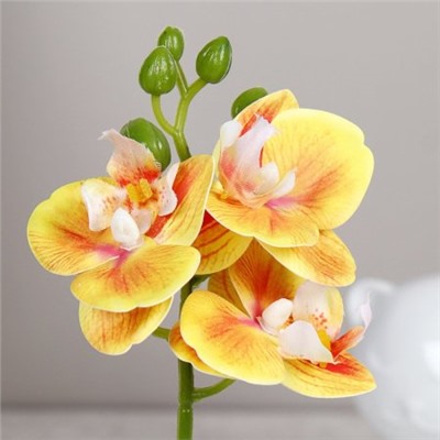 Цветочная композиция Орхидея 22 см / LM-796 /уп 144/