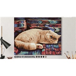 Картина по номерам на холсте 50х40 см. «Персидский кот»
