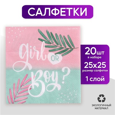 Салфетки бумажные Gir or Boy, 25 × 25 см, в наборе 20 шт.